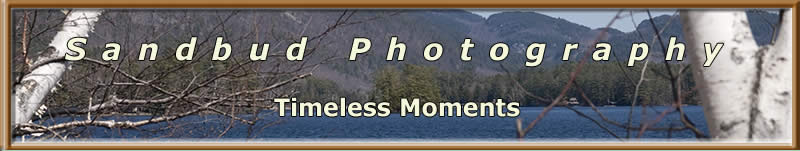 Sandbud Photography