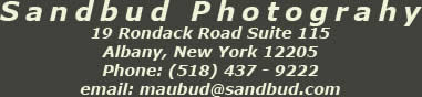 Sandbud Photography